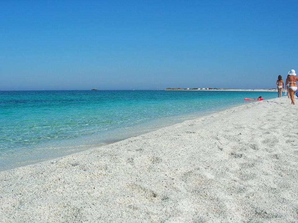 Sardinia Eco Vegan House Bed and Breakfast Zeddiani Exteriör bild