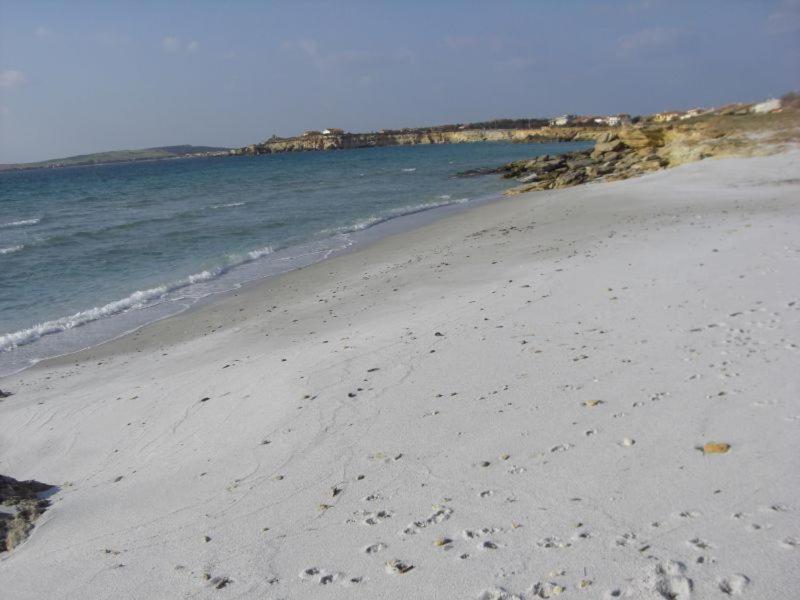 Sardinia Eco Vegan House Bed and Breakfast Zeddiani Exteriör bild