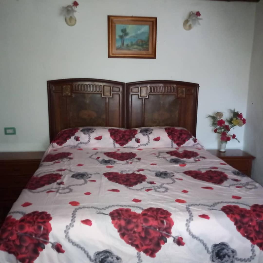 Sardinia Eco Vegan House Bed and Breakfast Zeddiani Exteriör bild