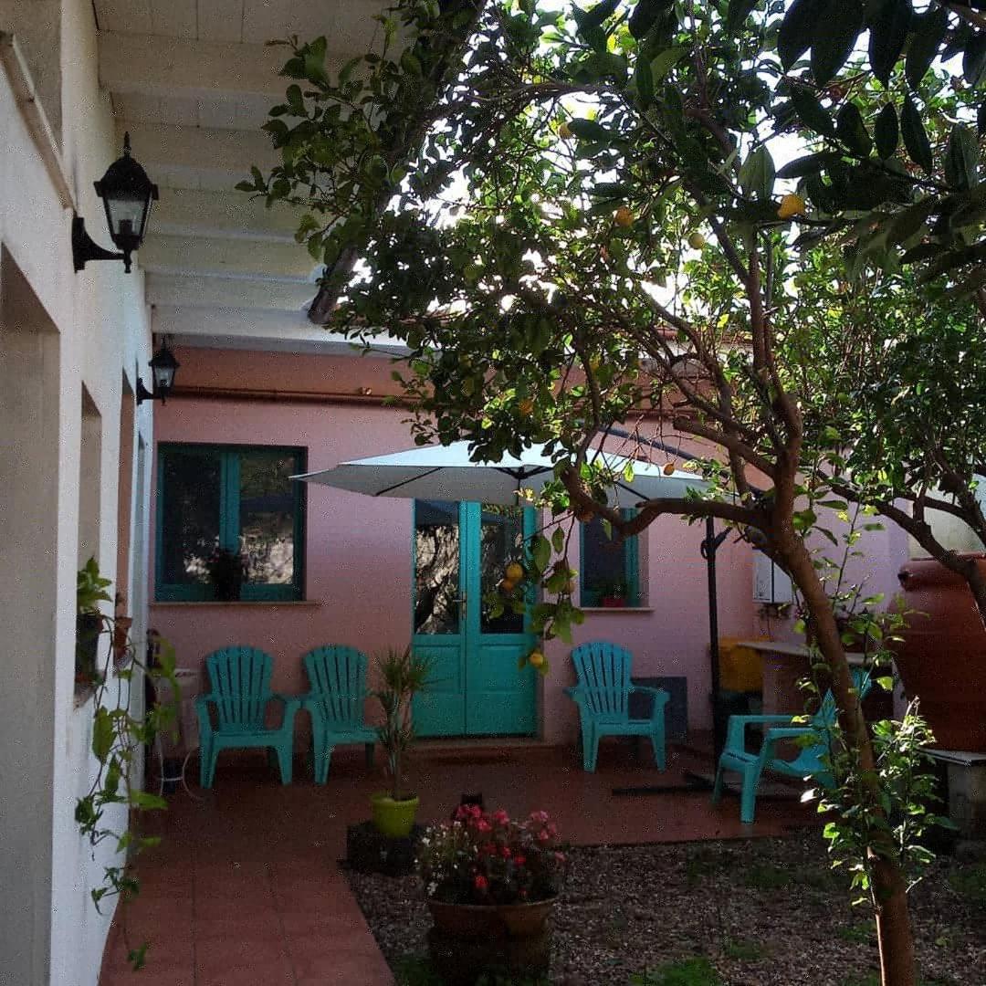 Sardinia Eco Vegan House Bed and Breakfast Zeddiani Exteriör bild