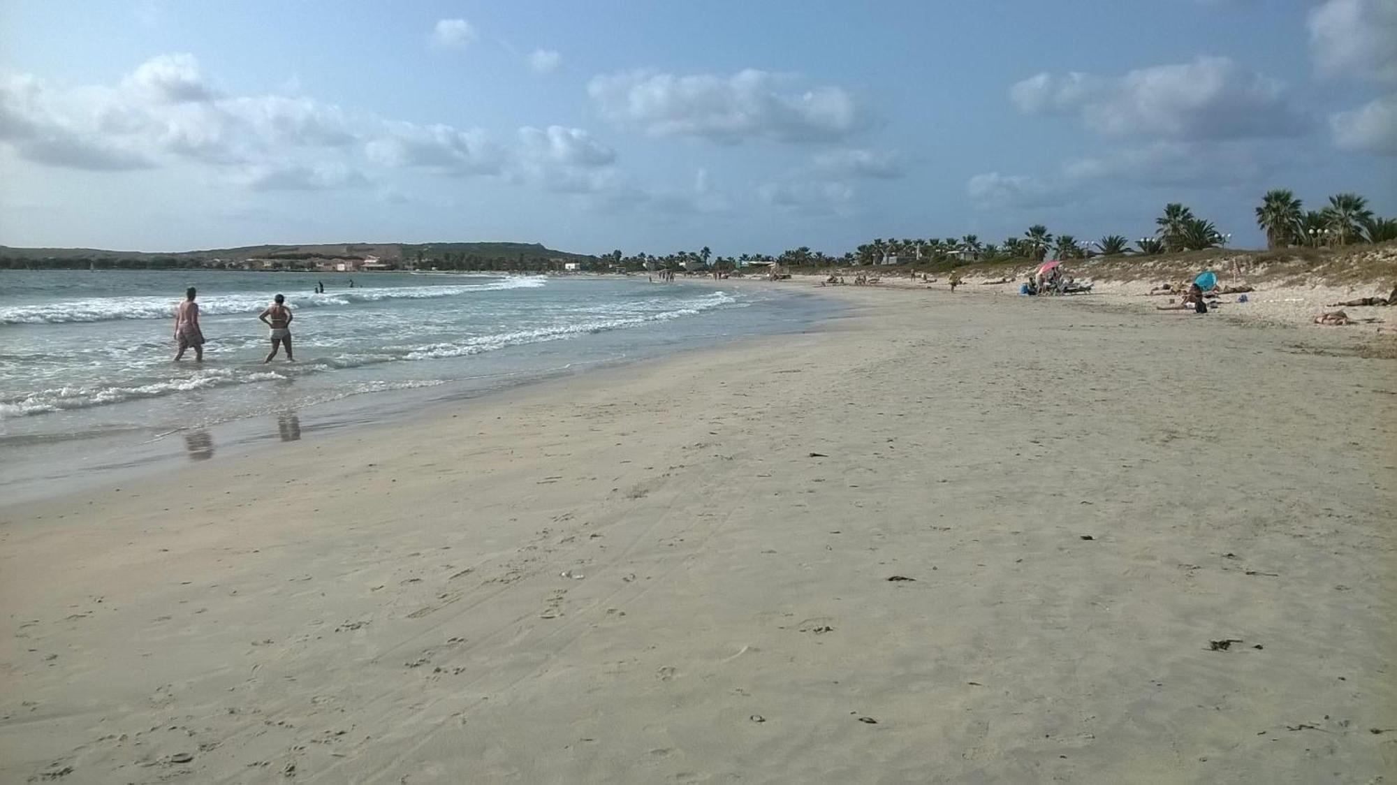 Sardinia Eco Vegan House Bed and Breakfast Zeddiani Exteriör bild