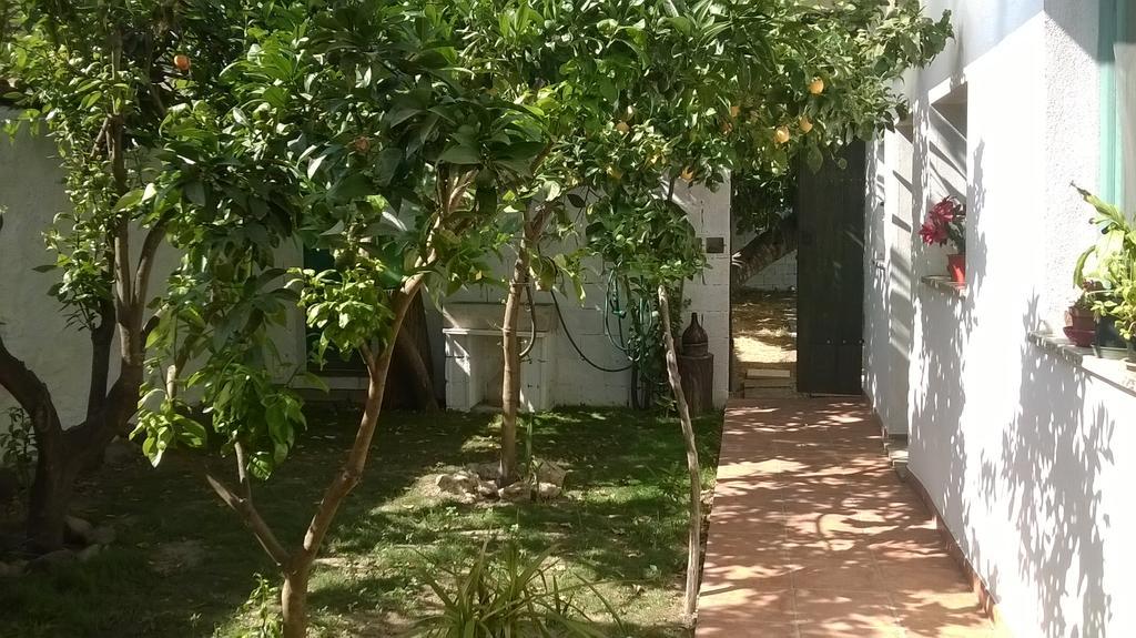 Sardinia Eco Vegan House Bed and Breakfast Zeddiani Exteriör bild
