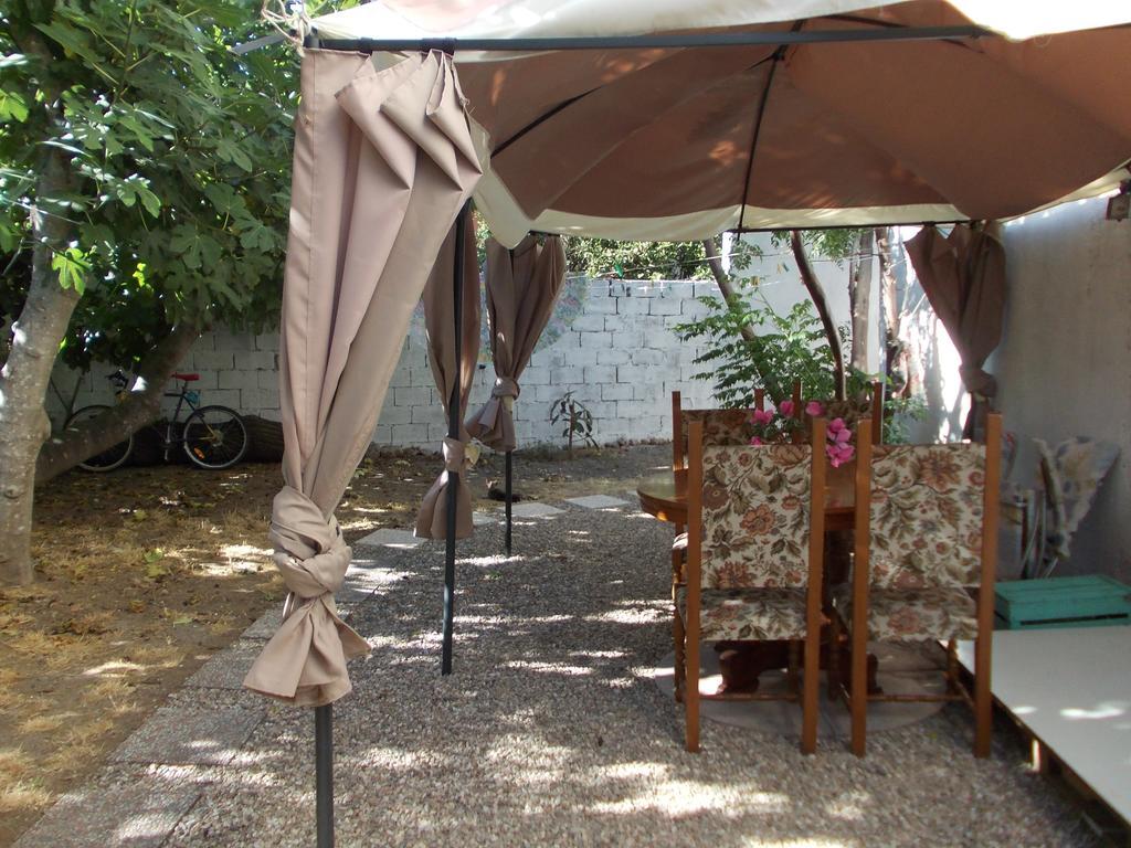 Sardinia Eco Vegan House Bed and Breakfast Zeddiani Exteriör bild